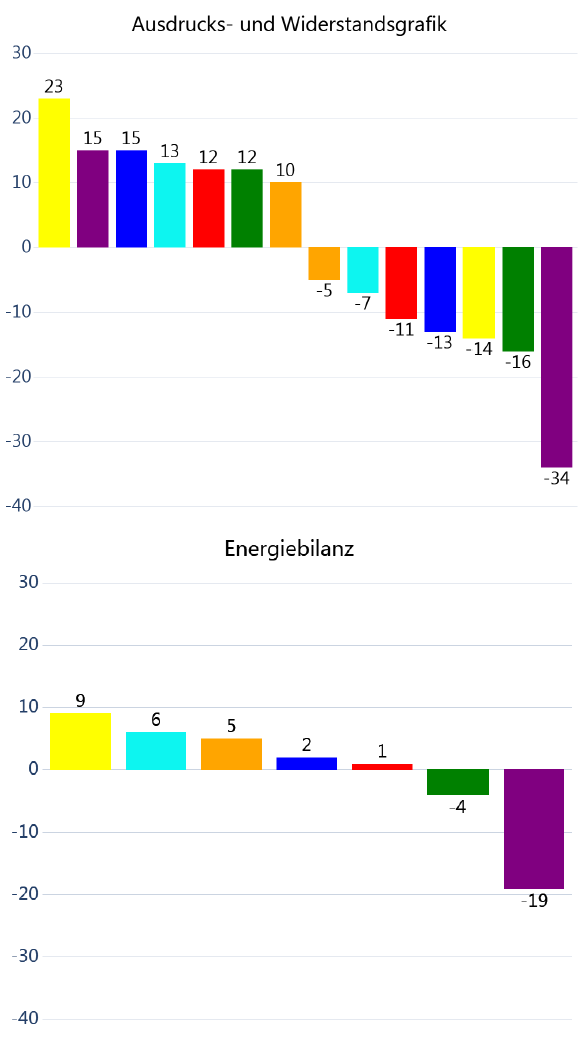 Ausdruck-Widerstandgrafik-Energiebilanz-Persönlichkeitsanalyse